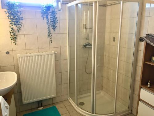 a shower with a glass door in a bathroom at Apartment Panoramablick mit Infrarotkabine auf der großen Terrasse und traumhaften Ausblick in Oberschützen