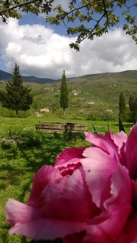 Φυσικό τοπίο κοντά σε αυτό το κατάλυμα σε φάρμα