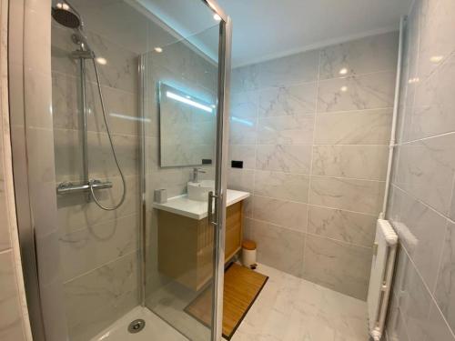 a bathroom with a shower and a sink at Studio climatisé proche du centre-ville à Tournon-sur-Rhône in Tournon-sur-Rhône