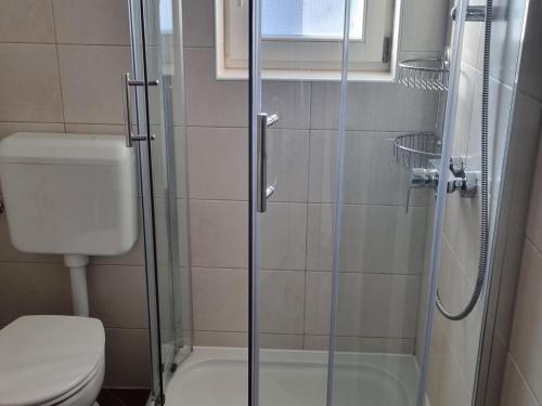 La salle de bains est pourvue de toilettes et d'une douche en verre. dans l'établissement Leut, à Barbat na Rabu