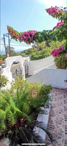 Κήπος έξω από το xara house