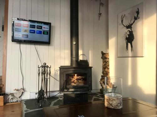 sala de estar con chimenea y TV en Om chalet 2 avec spa et foyer bordé du fleuve, en St-Pierre-de-l'Île-d'Orléans