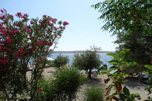 a view of the water from a garden with flowers at Apartments Vivien in Kustići