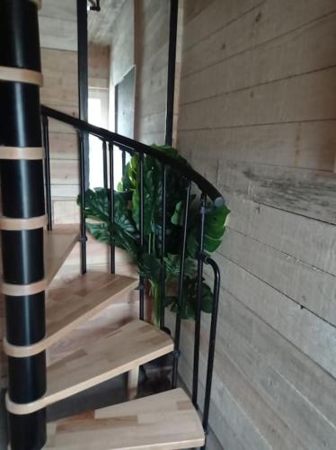 a staircase in a room with green plants at Le P'tit Nid : Mini loft pour 2 à 4 personnes in Tellin