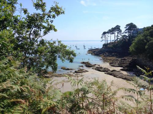 プルゴンヴランにあるGîte Versant Ouest, 700 m des plages.の水中の鳥の群れを持つ海岸