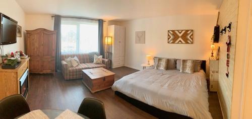 1 dormitorio con 1 cama y sala de estar en Loft LèSKImo, lit king, sauna, piscine et montagne, en Saint-Férréol-les-Neiges
