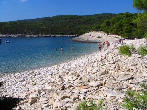 Gallery image of Apartments Katarina in Vis