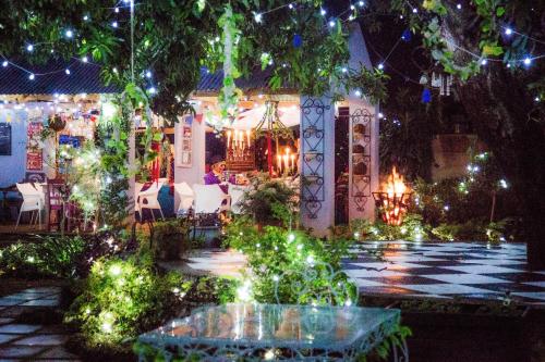 a house decorated with christmas lights in a yard at Blue Bell Guesthouse in Tzaneen