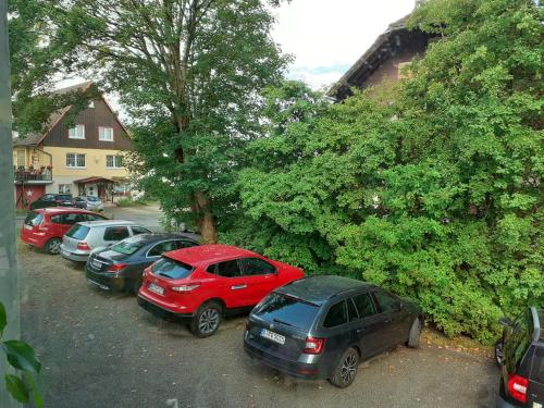 a row of cars parked in a parking lot at Villa Tannerhof in Braunlage