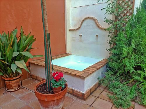 una vasca da bagno in un giardino con piante in vaso di Ziza a Cordoba