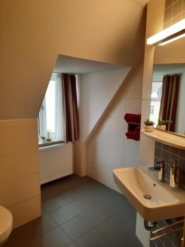 een badkamer met een wastafel en een toilet bij Gästehaus Klosterhof Schweiklberg in Vilshofen an der Donau