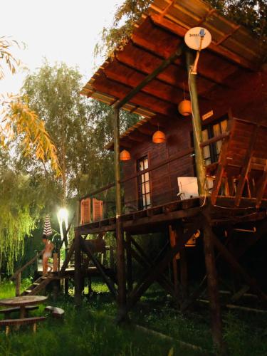 Buenos vientos tigre – Photos 2