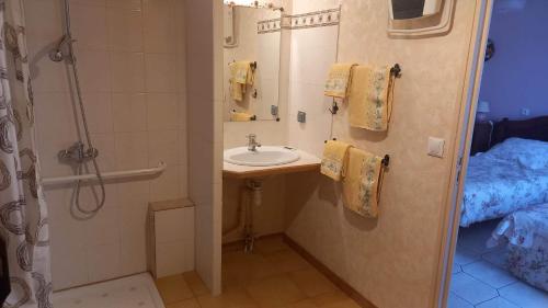 y baño pequeño con lavabo y ducha. en Le Clos du Merry, en Joux-la-Ville