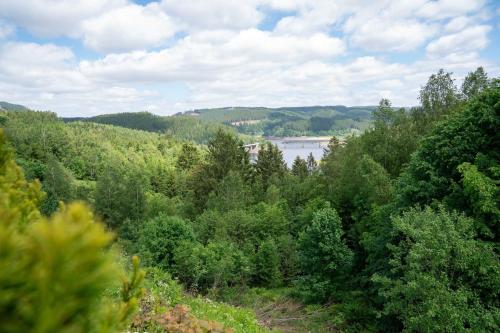 - Vistas al río desde una colina con árboles en Ferienwohnung "Harzer Wiesenberg", en Schulenberg im Oberharz