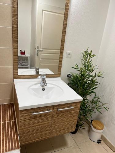 een badkamer met een wastafel, een spiegel en een plant bij Le gîte de Marc - Parking privé gratuit + terrasse in Colmar