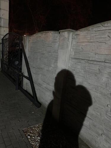a shadow of a person standing next to a brick wall at Apartament Gold in Złotoryja