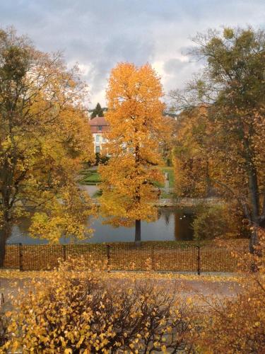 Comfort Apartments Oliwa Gdańsk