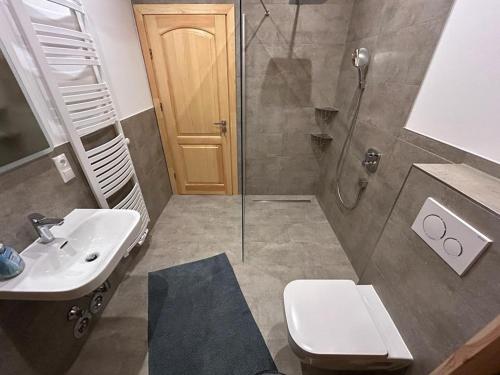 uma casa de banho com um chuveiro, um WC e um lavatório. em Ferienhof Weisser Hirsch em Werben