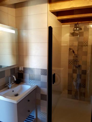 La salle de bains est pourvue d'un lavabo et d'une douche. dans l'établissement Coquette maison à la campagne, à Apremont