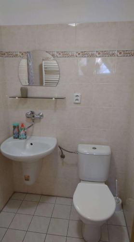 a bathroom with a white toilet and a sink at Penzion TCV Pardubice in Pardubice