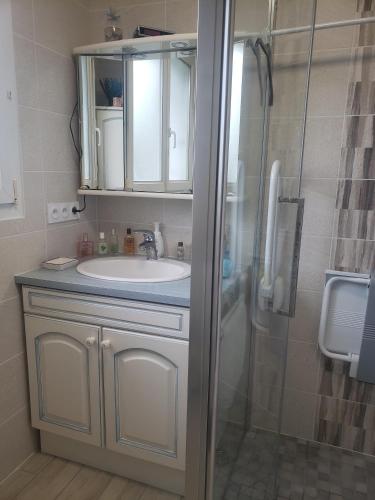 uma casa de banho com um lavatório e um chuveiro em Chambre chaleureuse à la campagne em Marennes