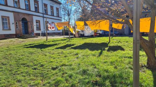 ein Grasfeld mit einem Gebäude und einem Baum in der Unterkunft Gwuni's Farm in Geithain