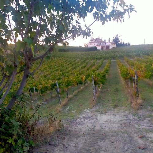 Villa GB B&B – Photos 4