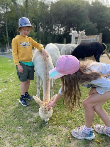 a young girl petting a sheep and a girl petting a rabbit at Jungle Book Safari Tent in Tenby