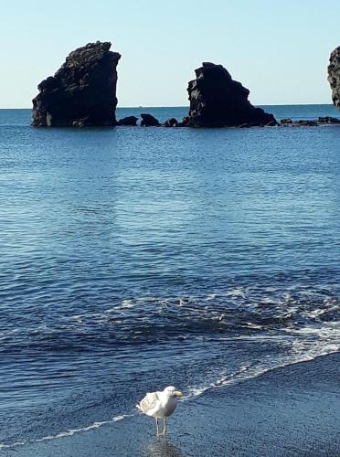 T2 PLAGE DE LA CONQUE