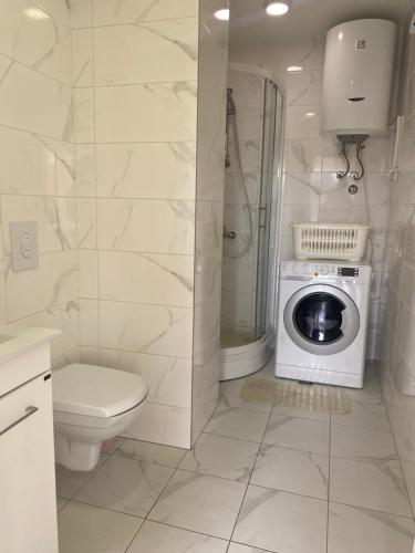 a bathroom with a toilet and a washing machine at NaPjacu with own parking and garden in Herceg-Novi