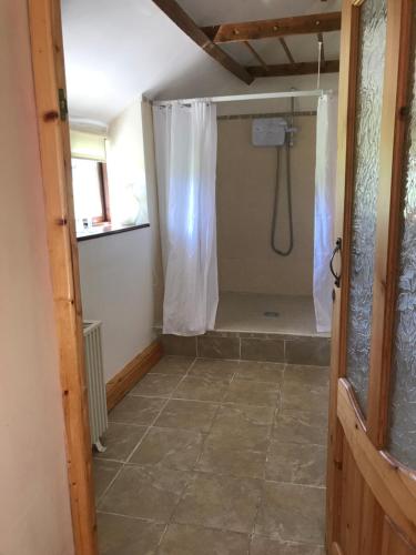 W łazience znajduje się prysznic z zasłoną prysznicową. w obiekcie Ancaire Studio w mieście Schull