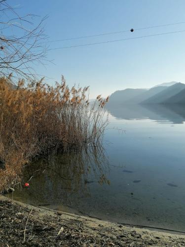 a view of a body of water with some grass at Old Factory in Omegna
