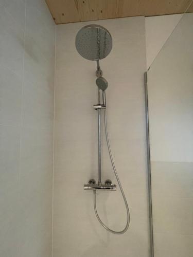 a shower with a shower head in a bathroom at Apartment Relax - Stubenbergsee in Stubenberg