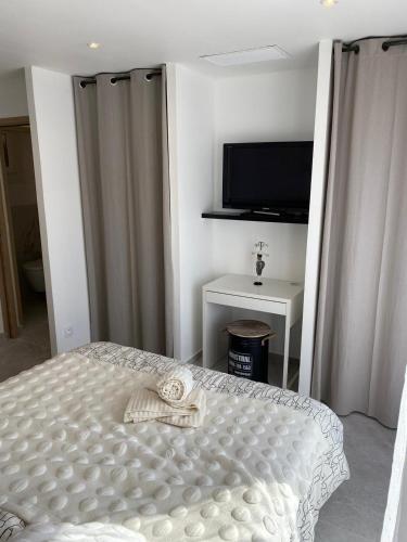 1 dormitorio con 1 cama y TV de pantalla plana en charmante villa, en Saint-Martin-du-Var