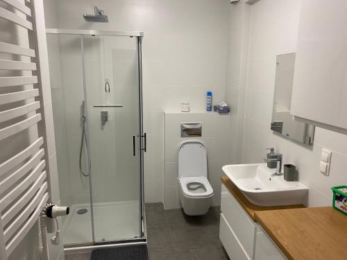 een badkamer met een douche, een toilet en een wastafel bij Lake apartment Zefir 15 in Augustów