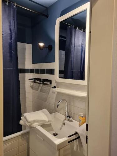 uma casa de banho com um lavatório e um espelho em Appartement Wiesel em Sankt Andreasberg
