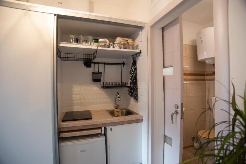 eine kleine Küche mit einem Waschbecken in einem Zimmer in der Unterkunft Nordic Dream Apartment in Kikinda in Kikinda