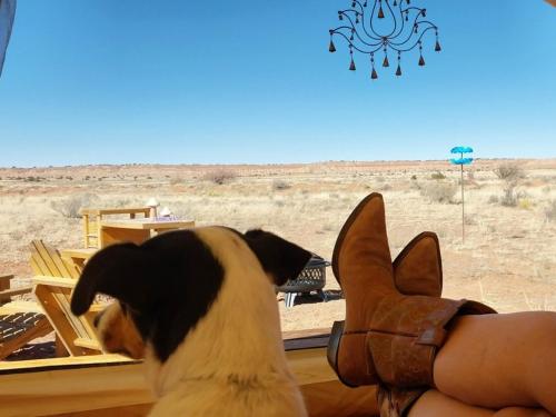 Tentrr Signature Site - Million Stars Campsite in Petrified Forest - Bliss
