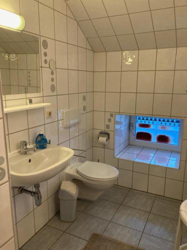 a bathroom with a sink and a toilet and a mirror at Ferienwohnung Zweinig 03 in Roßwein