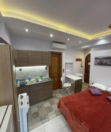 a bedroom with a bed and a sink and a kitchen at Ano Poli Studios 1 in Thessaloniki