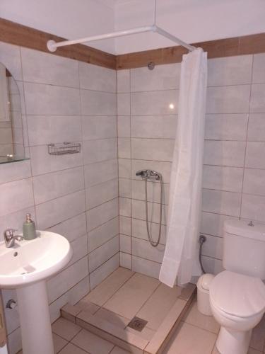 a bathroom with a shower and a toilet and a sink at Studios Dimitraki in Skala Rachoniou