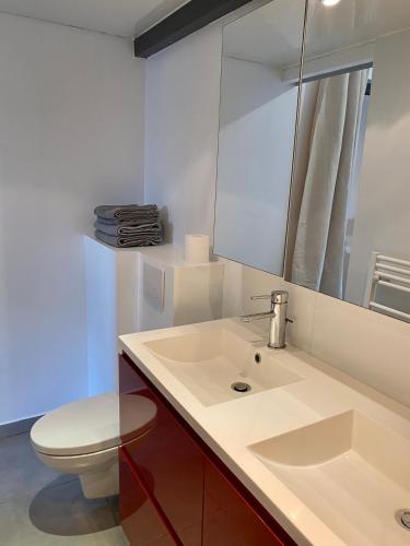 une salle de bain avec un lavabo, des toilettes et un miroir dans l'établissement Gujan-Mestras Chez Flo maison 4 places la hume, à Gujan-Mestras