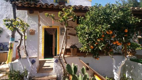 a house with orange trees in front of it at Zagara di Sicilia in Marsala