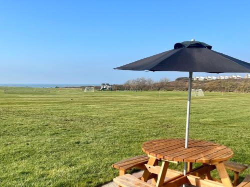 a picnic table with an umbrella in a field at BAYVIEW self-catering coastal bungalow in rural West Wight in Freshwater