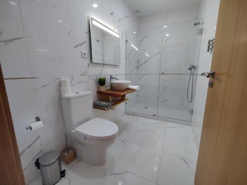 ein weißes Badezimmer mit Toilette und Dusche in der Unterkunft Quinta da Alqueidosa - Casa de Campo in Guarda