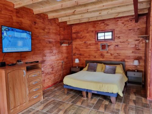 a bedroom with a bed and a flat screen tv at Alojamiento Pamela in Coñaripe