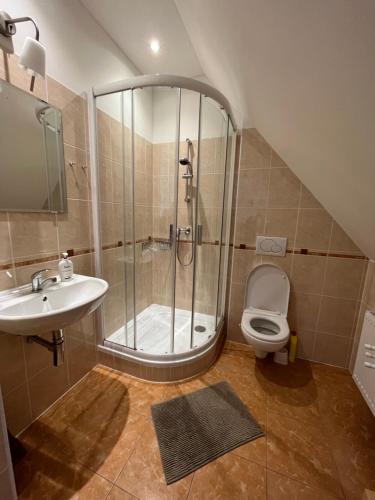 ムラデー・ブキにあるUbytování Sedlařík Mladé Bukyのバスルーム(シャワー、洗面台、トイレ付)