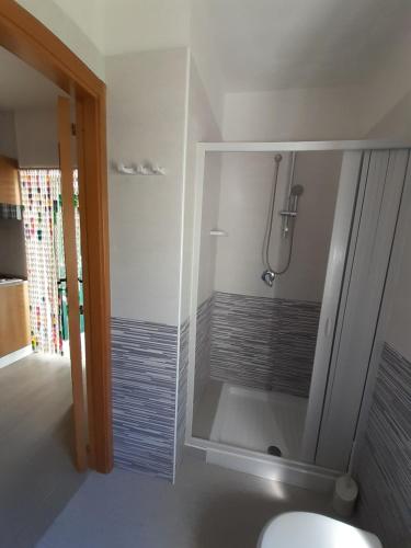 a bathroom with a shower with a toilet and a shower at La Marina Bay in Vieste