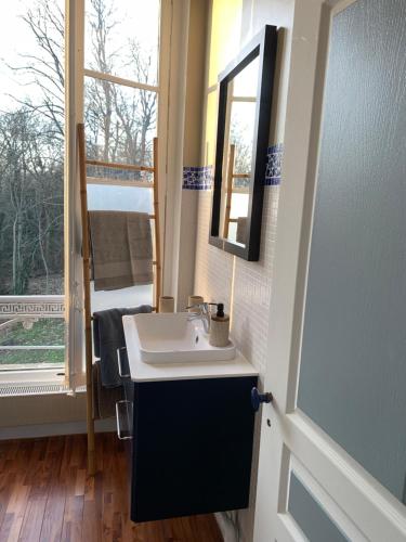 a bathroom with a sink and a mirror and a window at Domaine de Macque, BETZ, 25 mns Roissy CDG in Betz