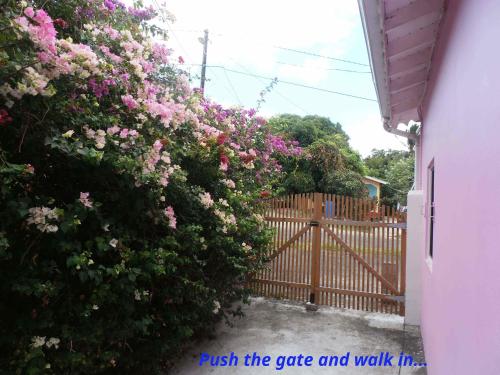 uma cerca com flores cor-de-rosa ao lado de um portão em The Pink House em Choiseul